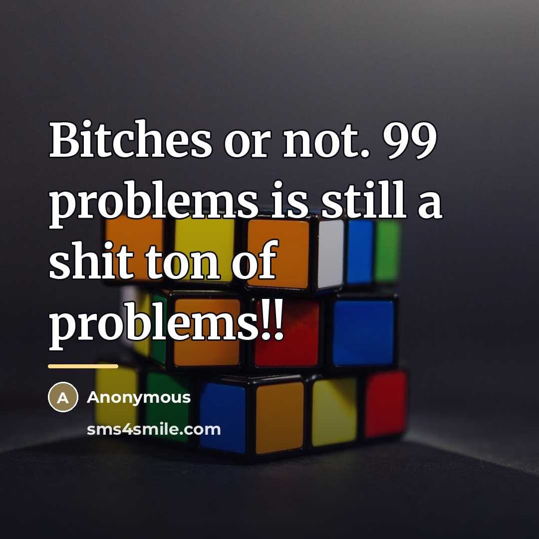 “Bitches or not. 99 problems is still a shit ton…” quote by Anonymous