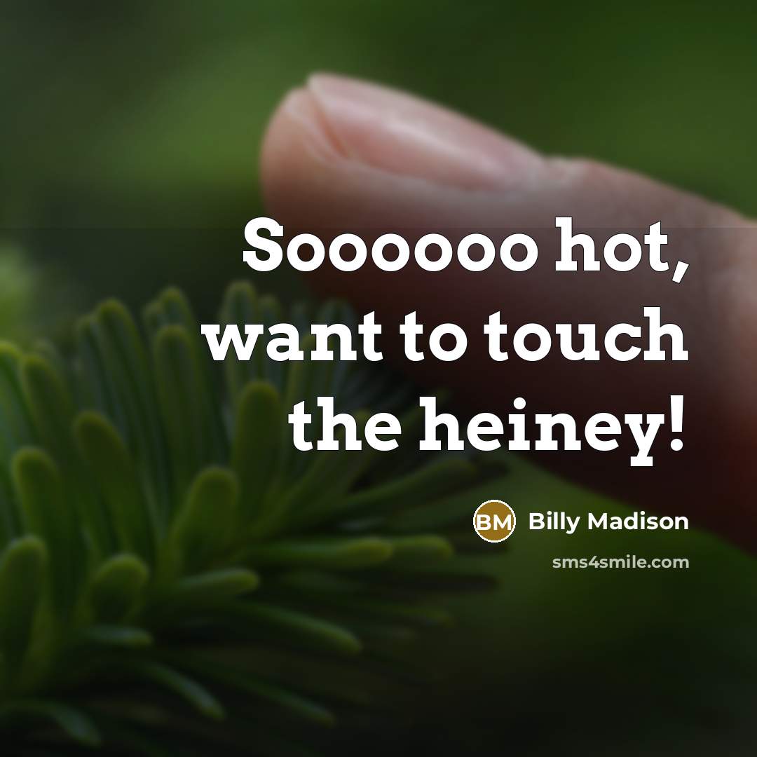 “Soooooo hot, want to touch the heiney!…” quote by Billy Madison