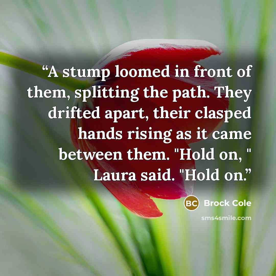 “A stump loomed in front of them, splitting the path. They drifted apart, their clasped hands rising as it came between them. "Hold on, " Laura said. "Hold on.” quote by Brock Cole