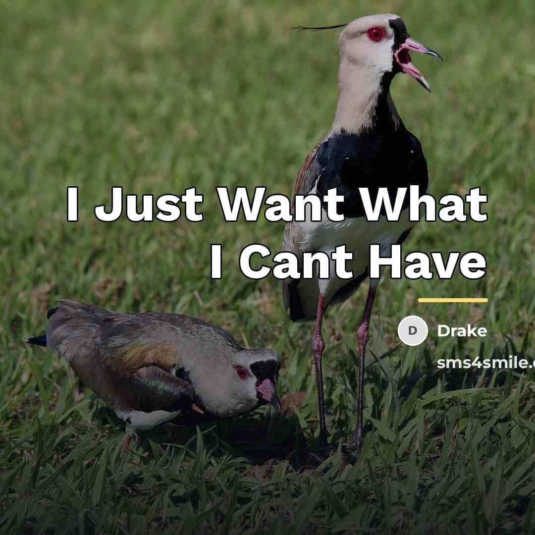 “I Just Want What I Cant Have…” quote by Drake