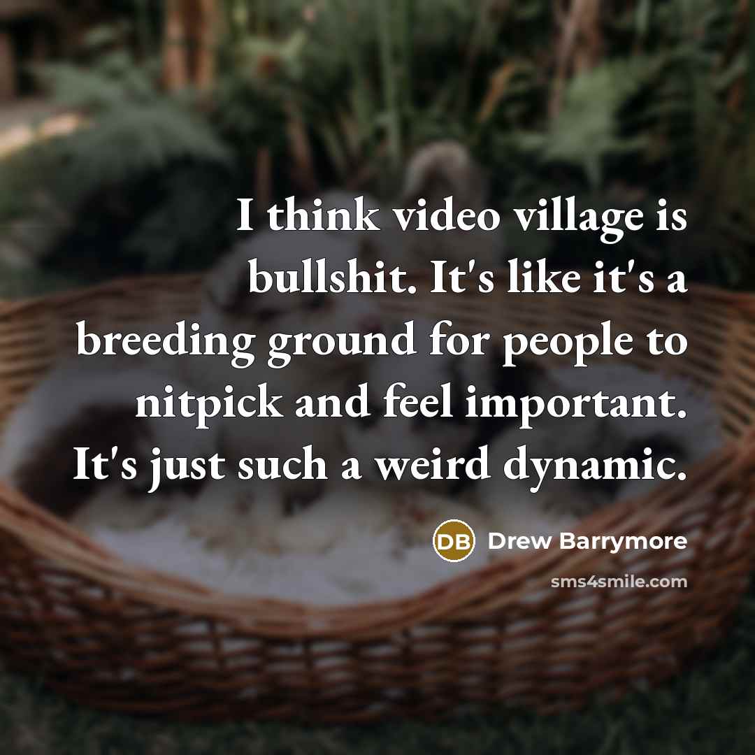 “I think video village is bullshit. It's like it's a…” quote by Drew Barrymore