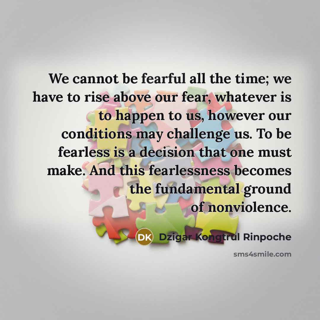 “We cannot be fearful all the time; we have to…” quote by Dzigar Kongtrul Rinpoche