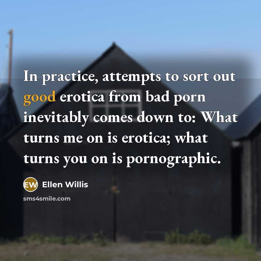 “In practice, attempts to sort out good erotica from bad porn inevitably comes down to: What turns me on is erotica; what turns you on is pornographic.” quote by Ellen Willis