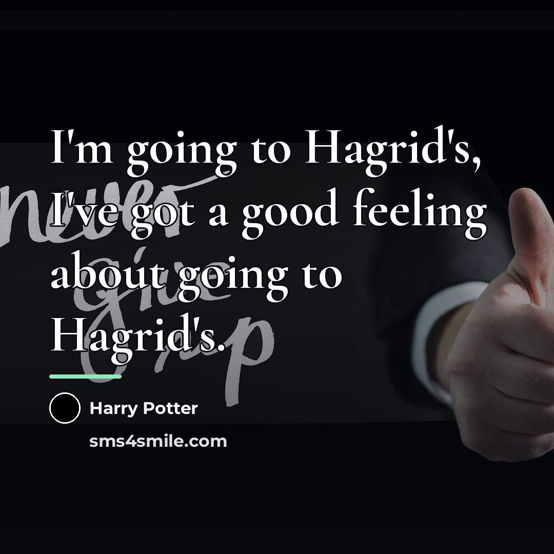 “I'm going to Hagrid's, I've got a good feeling about…” quote by Harry Potter