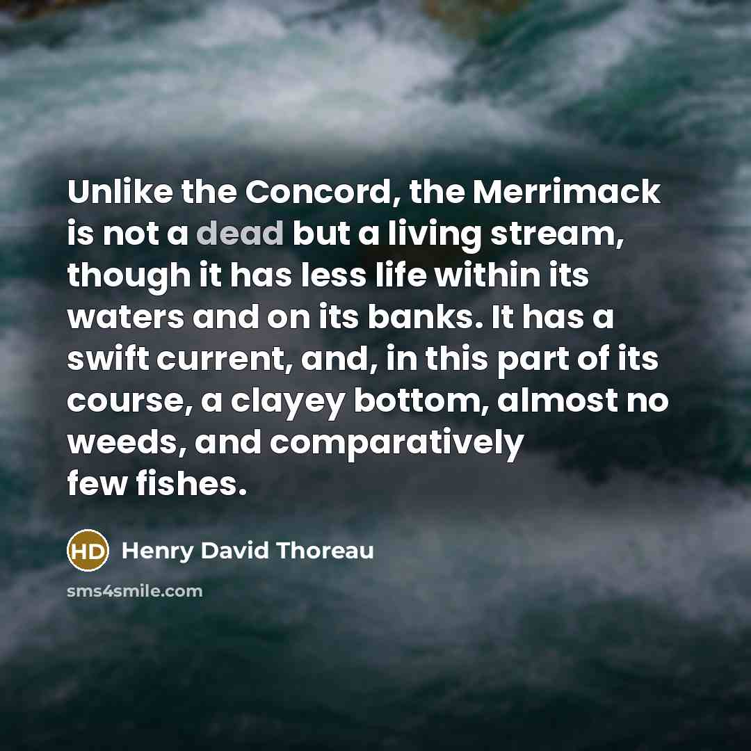 “Unlike the Concord, the Merrimack is not a dead but…” quote by Henry David Thoreau