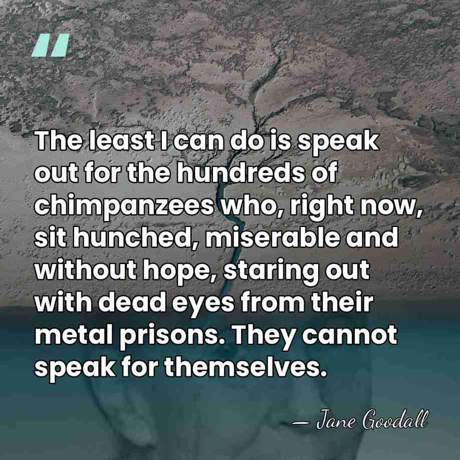 The least I can do is speak out for the hundreds of&hellip; - Jane Goodall