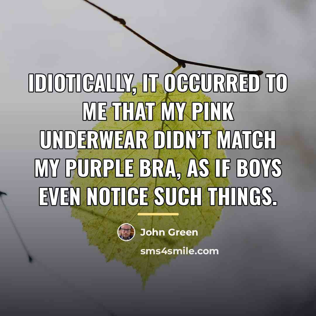 “Idiotically, it occurred to me that my pink underwear didn’t…” quote by John Green