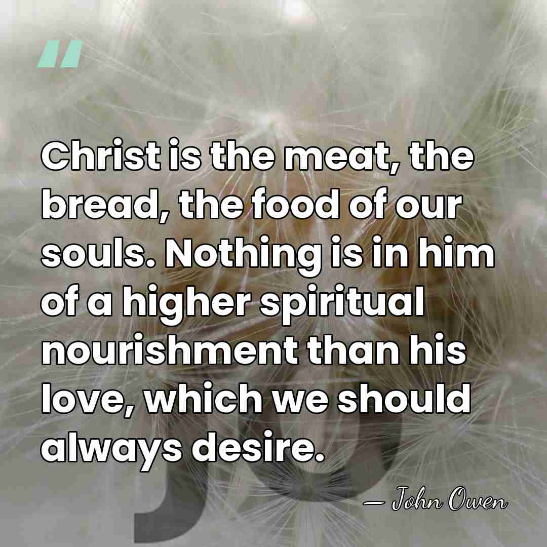 Christ is the meat, the bread, the food of our souls. Nothing&hellip; - John Owen