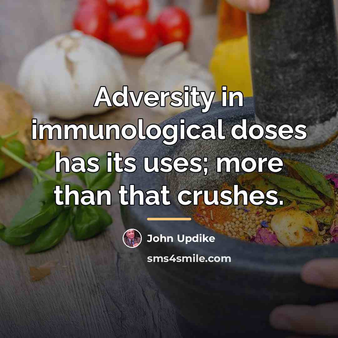 “Adversity in immunological doses has its uses; more than that…” quote by John Updike