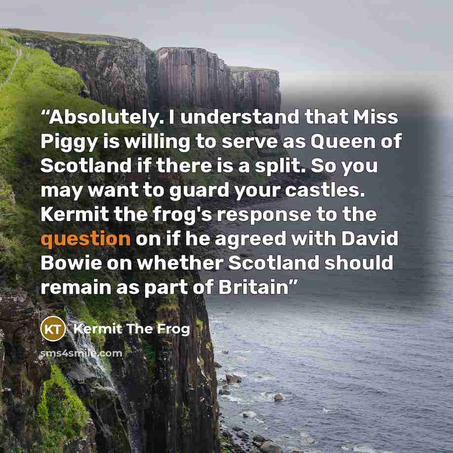 “Absolutely. I understand that Miss Piggy is willing to serve as Queen of Scotland if there is a split. So you may want to guard your castles. Kermit the frog's response to the question on if he agreed with David Bowie on whether Scotland should remain as part of Britain” quote by Kermit the Frog