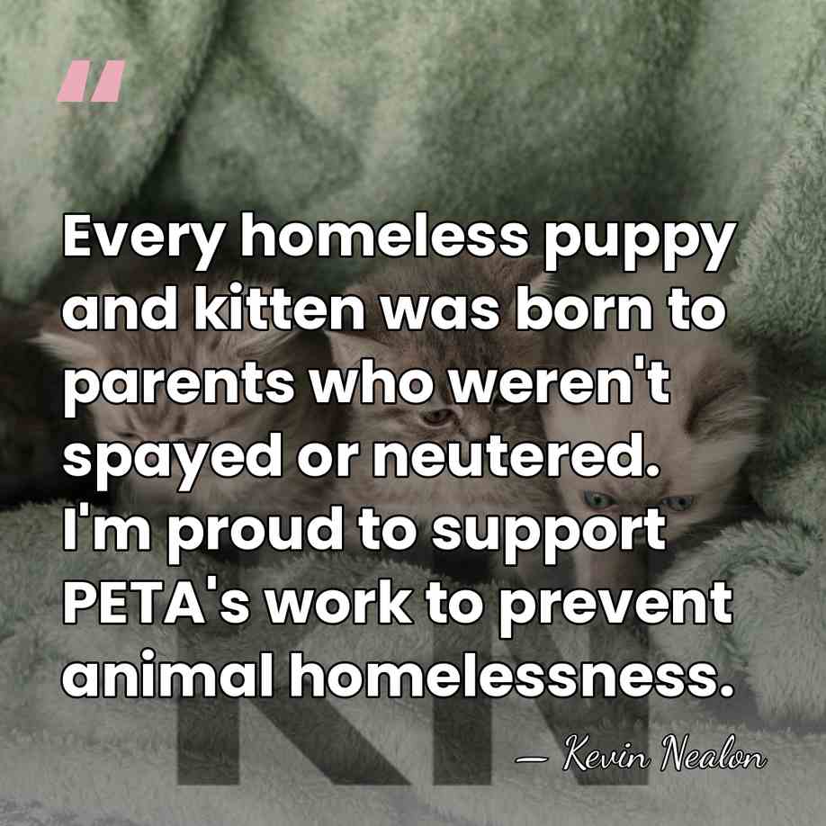 Every homeless puppy and kitten was born to parents who weren't spayed&hellip; - Kevin Nealon