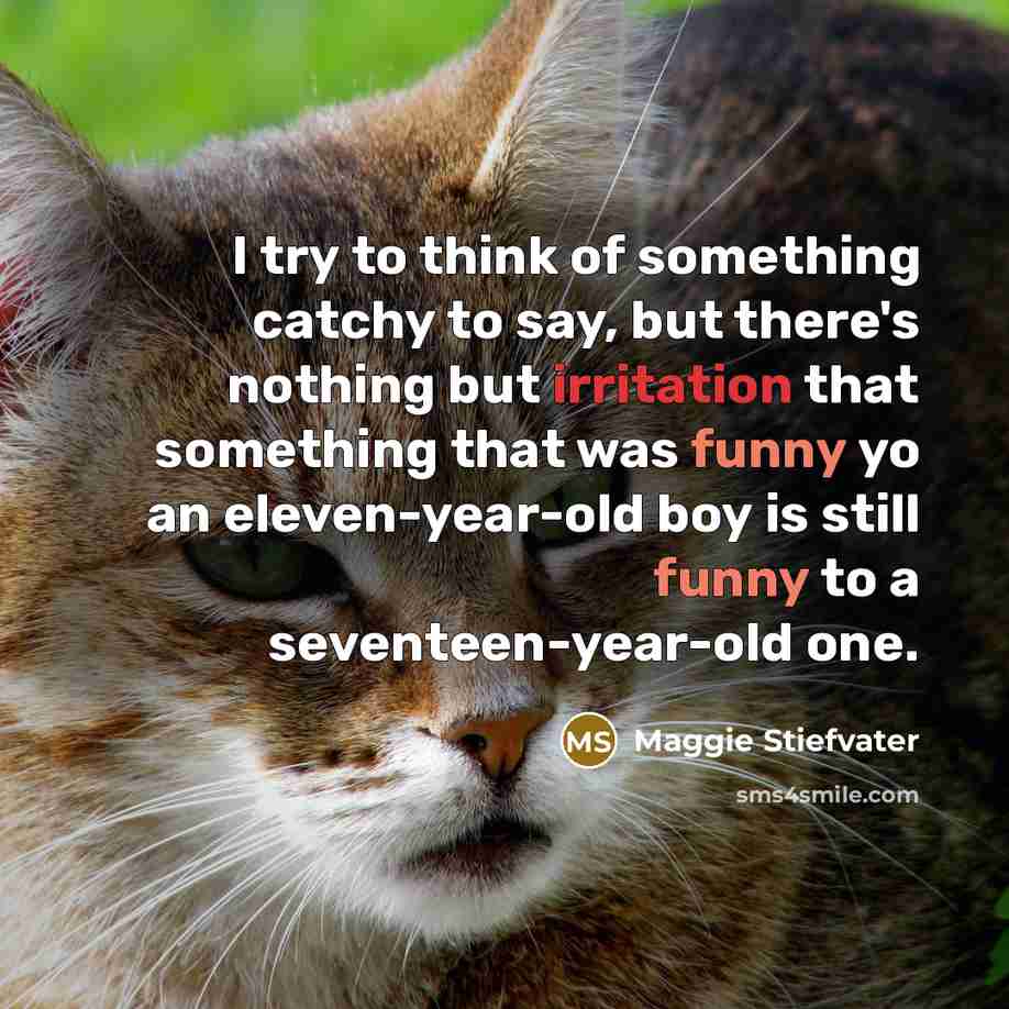 “I try to think of something catchy to say, but…” quote by Maggie Stiefvater