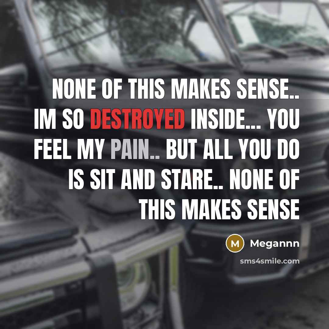 “None of this makes sense.. im so destroyed inside... you feel my pain.. but all you do is sit and stare.. none of this makes sense” quote by Megannn