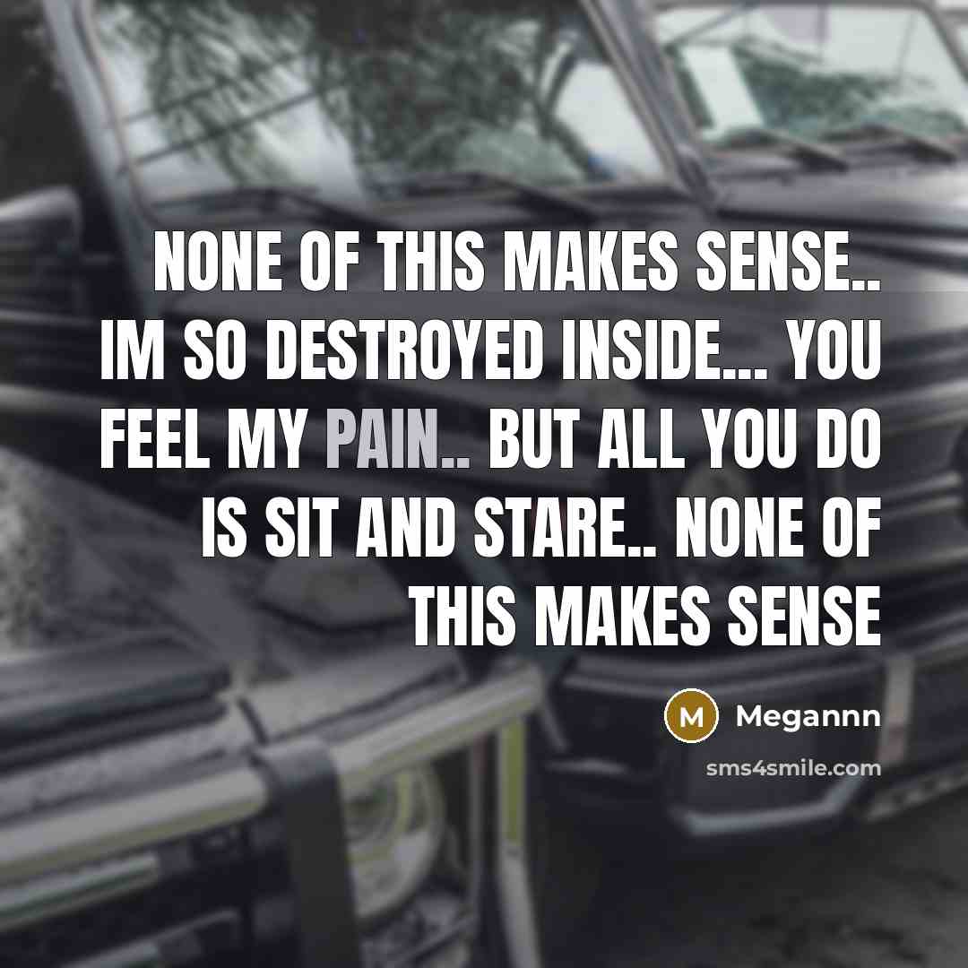 “None of this makes sense.. im so destroyed inside... you…” quote by Megannn