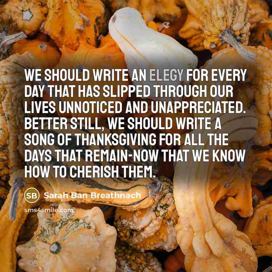 “We should write an elegy for every day that has…” quote by Sarah Ban Breathnach