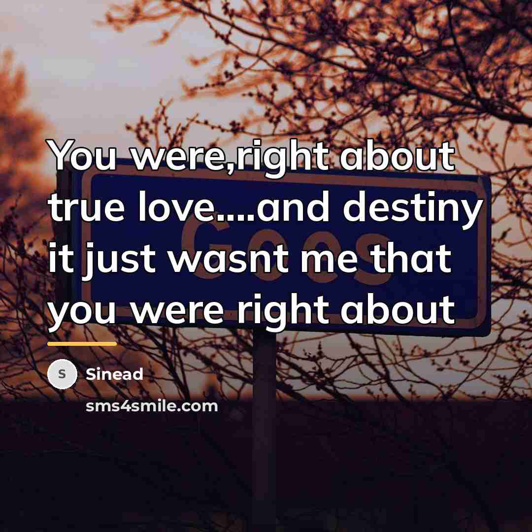 “You were,right about true love....and destiny it just wasnt me…” quote by Sinead
