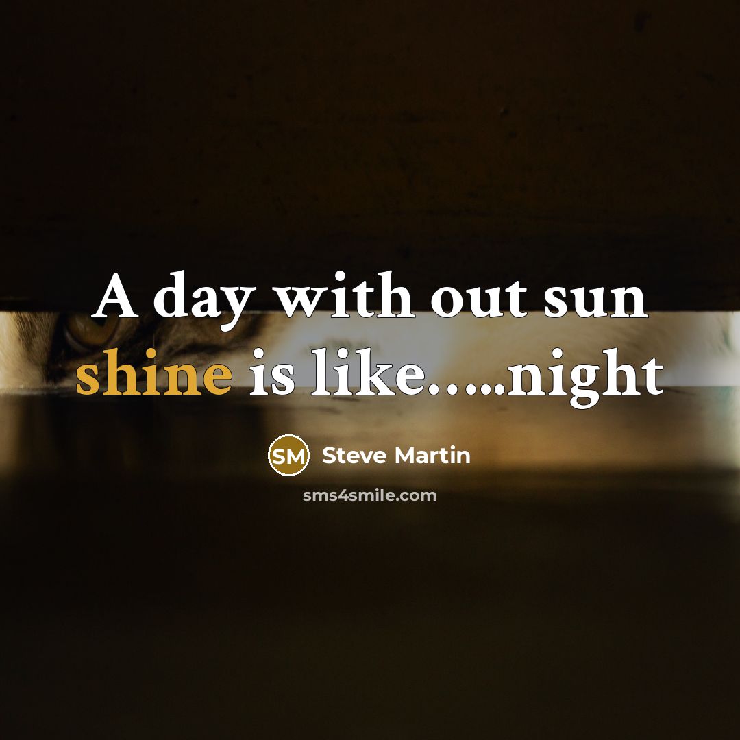 “A day with out sun shine is like..........night…” quote by Steve Martin