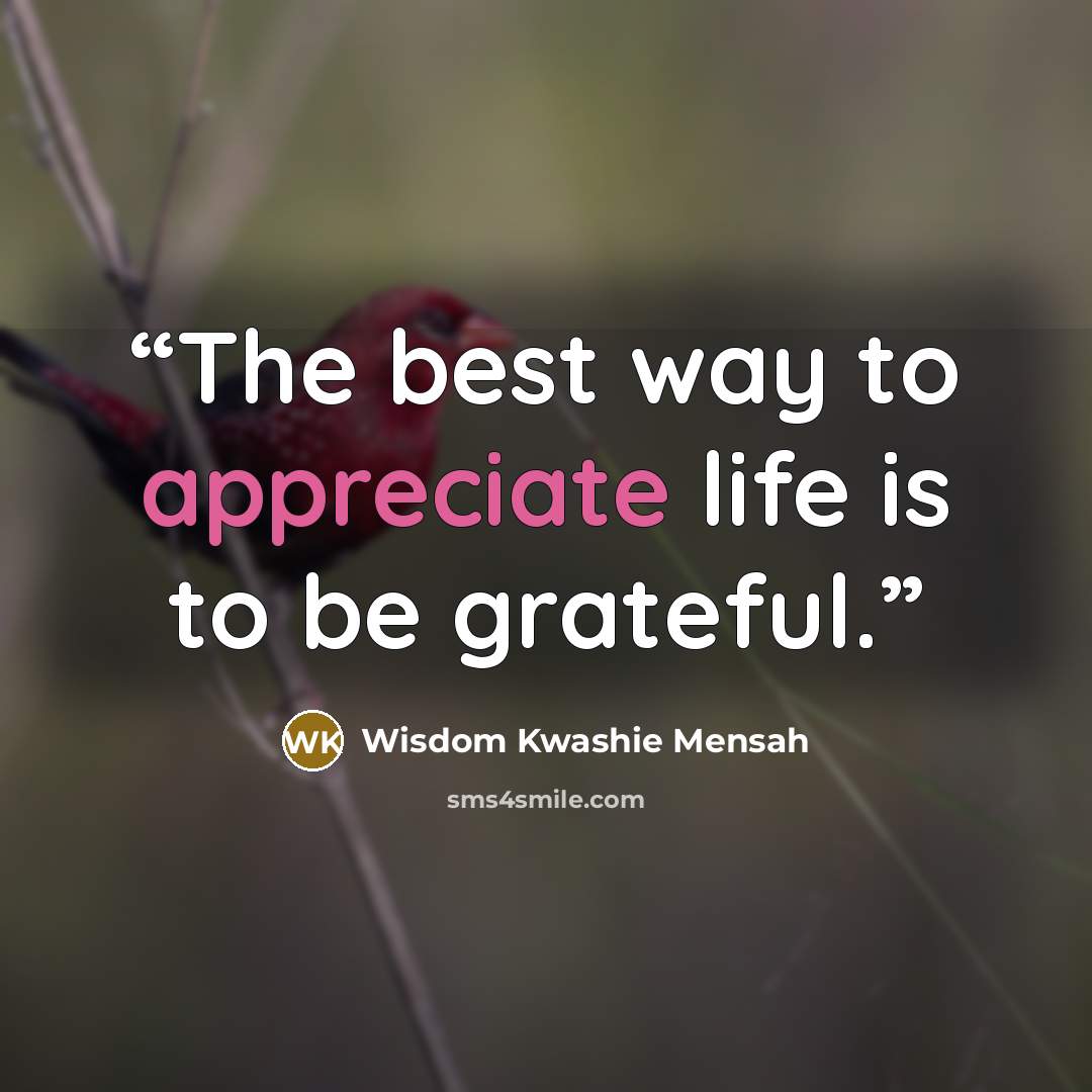 “The best way to appreciate life is to be grateful.” quote by Wisdom Kwashie Mensah