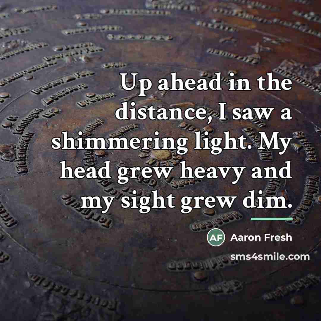 “Up ahead in the distance, I saw a shimmering light.…” quote by Aaron Fresh