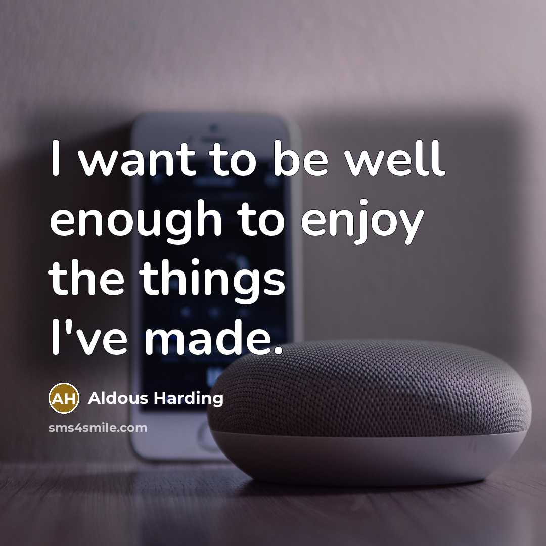 “I want to be well enough to enjoy the things…” quote by Aldous Harding