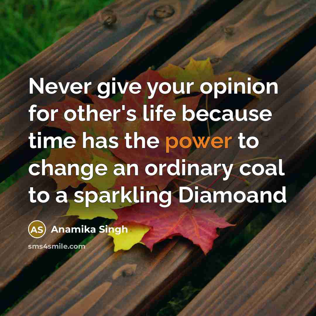 “Never give your opinion for other's life because time has…” quote by Anamika Singh