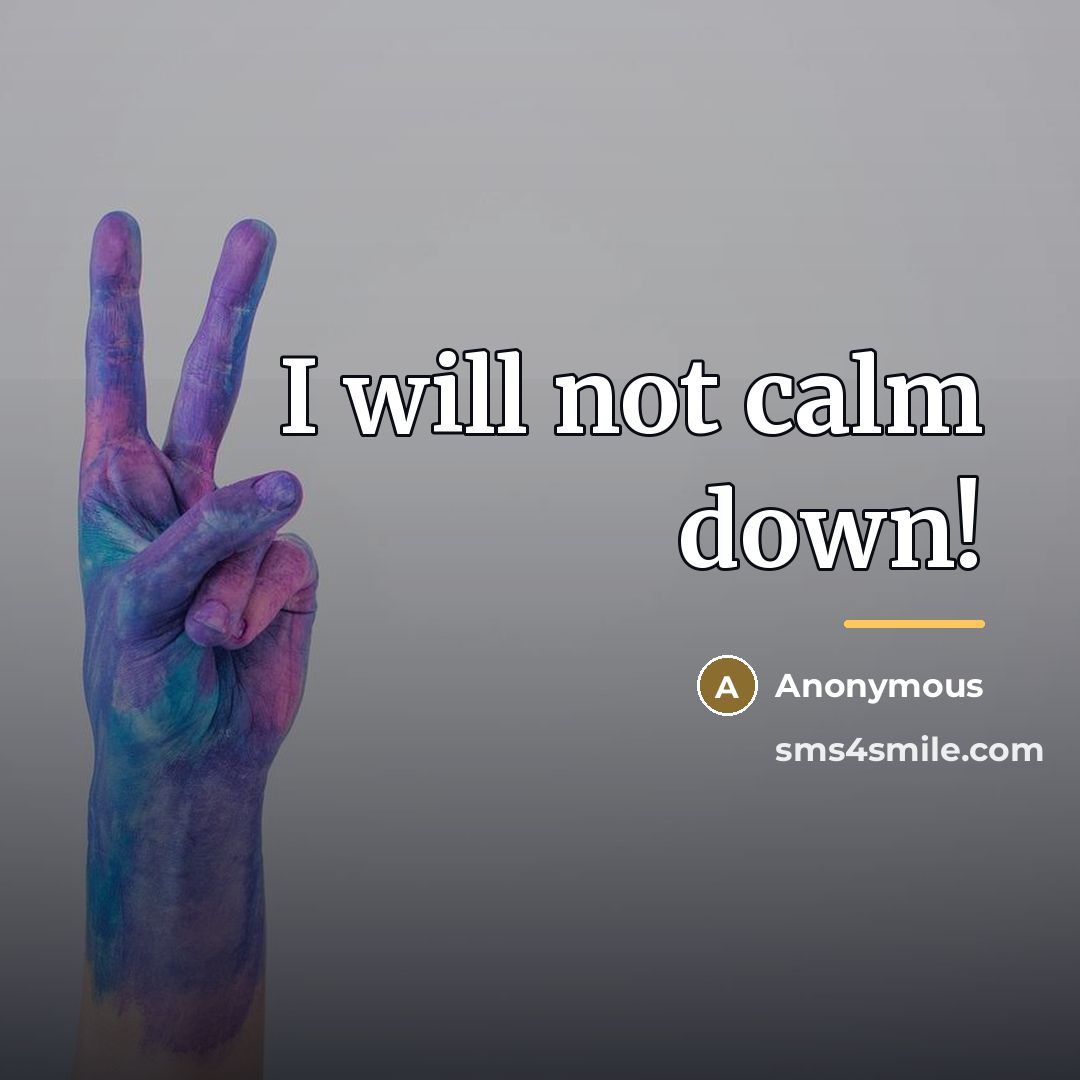 “I will not calm down!…” quote by Anonymous