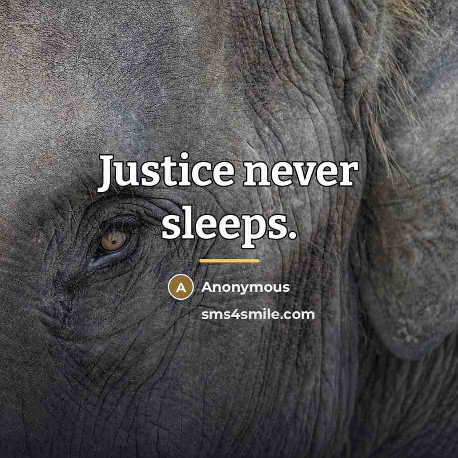 “Justice never sleeps.…” quote by Anonymous