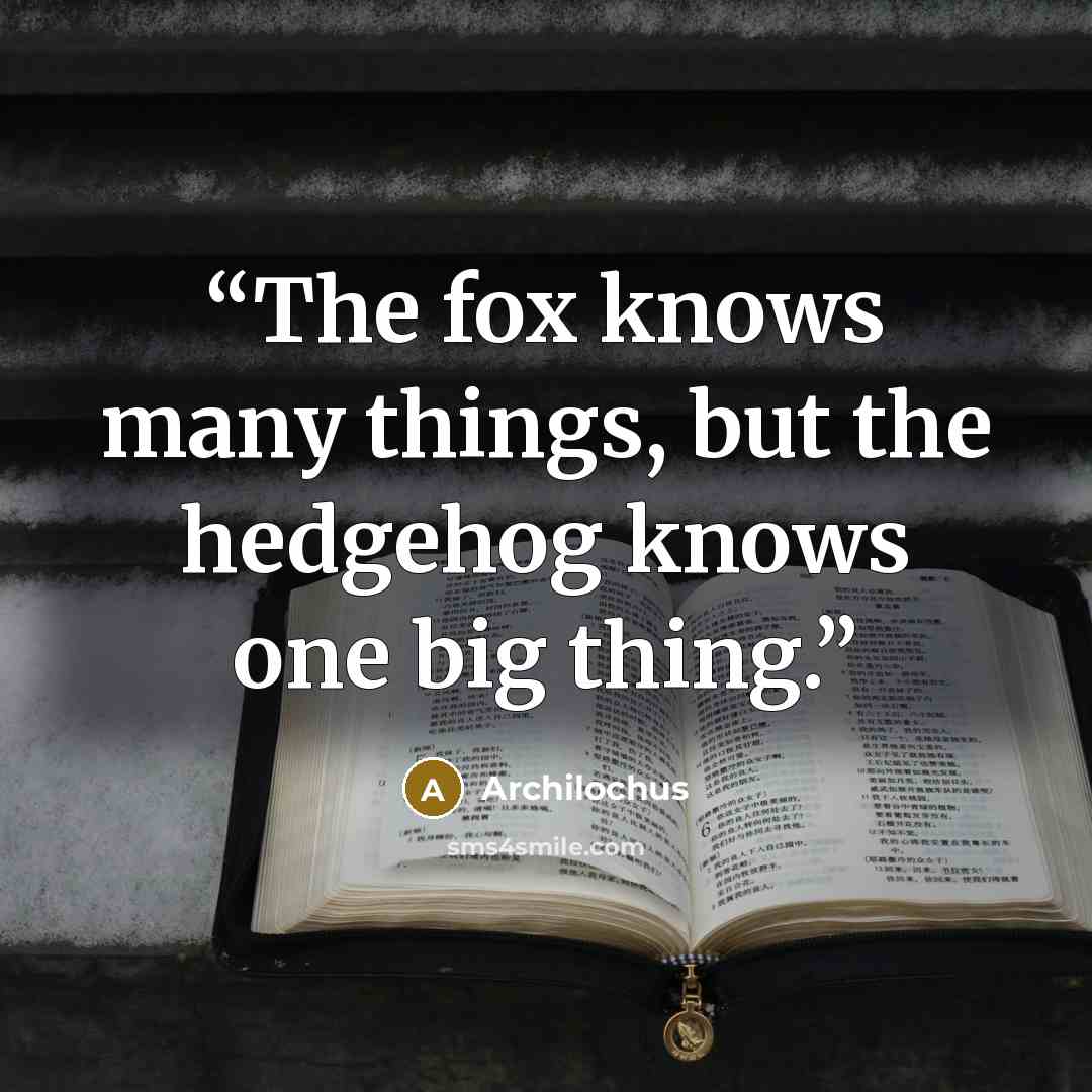 “The fox knows many things, but the hedgehog knows one big thing.” quote by Archilochus