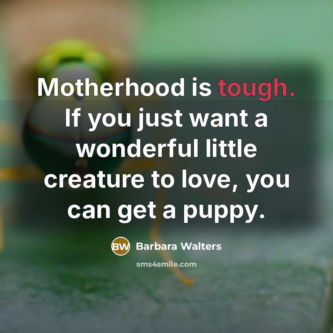“Motherhood is tough. If you just want a wonderful little…” quote by Barbara Walters