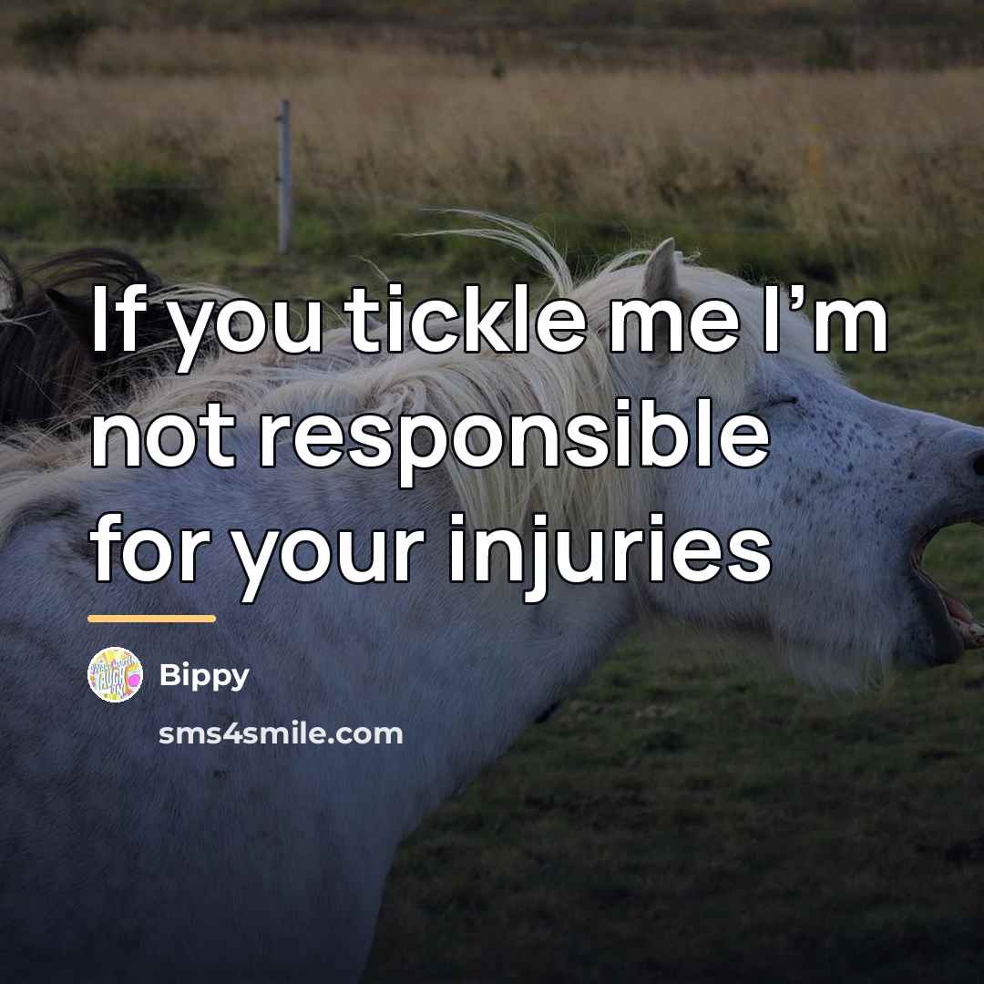 “If you tickle me I'm not responsible for your injuries…” quote by Bippy
