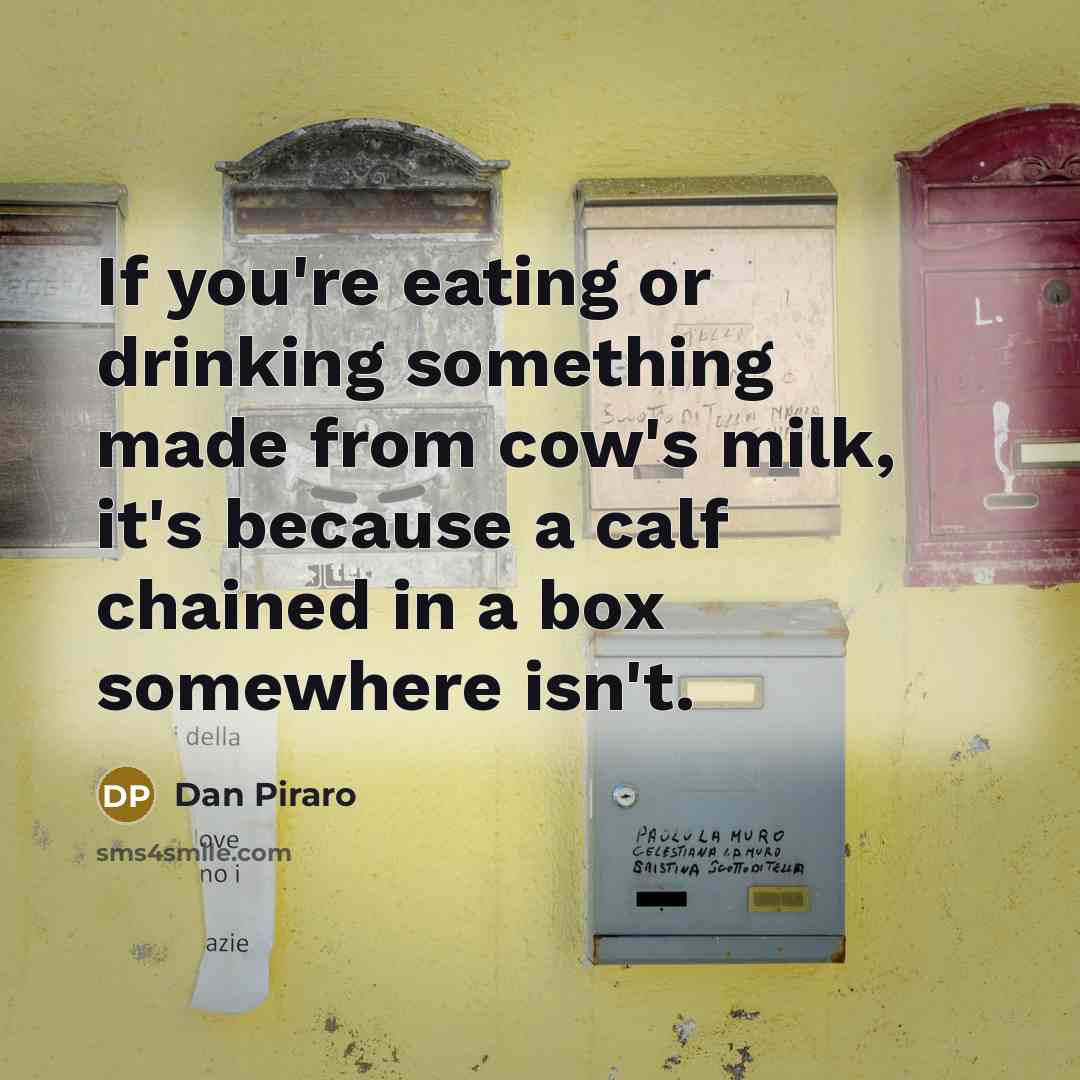 “If you're eating or drinking something made from cow's milk,…” quote by Dan Piraro