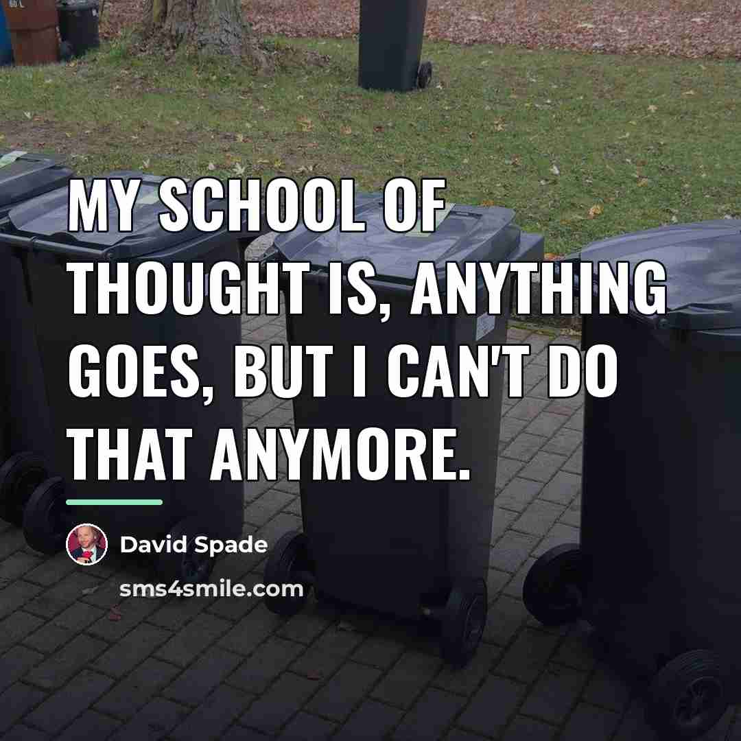 “My school of thought is, anything goes, but I can't…” quote by David Spade