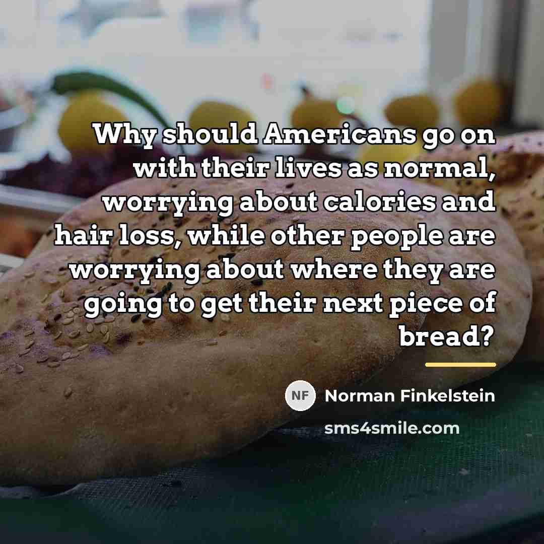 “Why should Americans go on with their lives as normal,…” quote by Norman Finkelstein