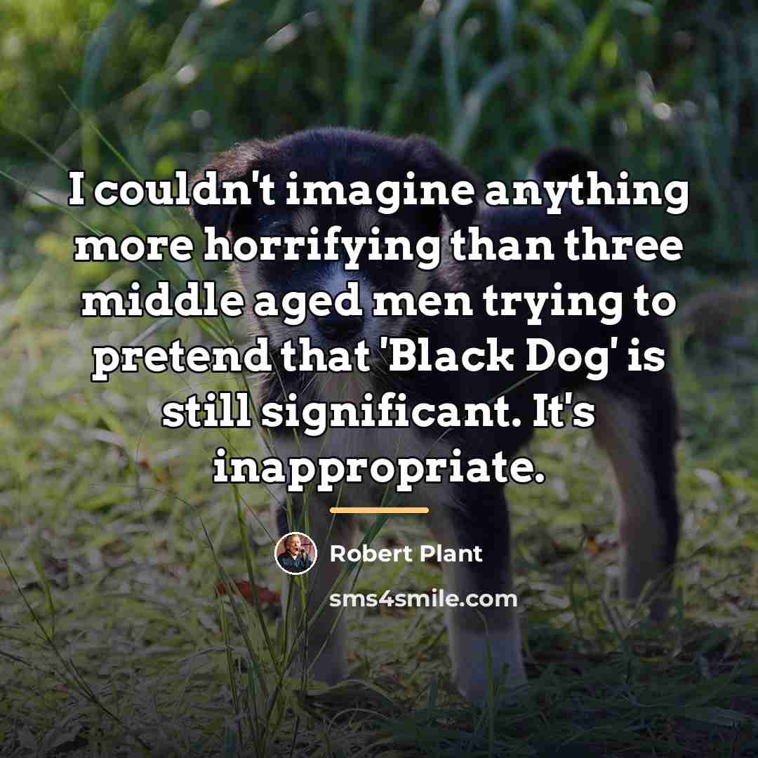“I couldn't imagine anything more horrifying than three middle aged…” quote by Robert Plant