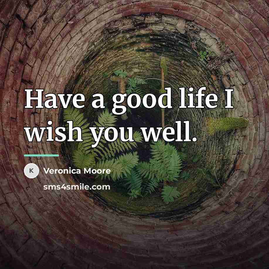 “Have a good life I wish you well.…” quote by Veronica Moore