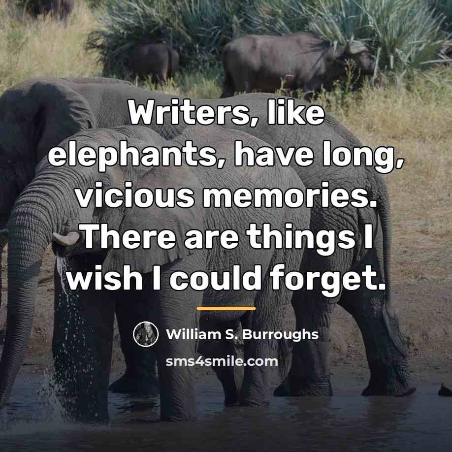 “Writers, like elephants, have long, vicious memories. There are things…” quote by William S. Burroughs
