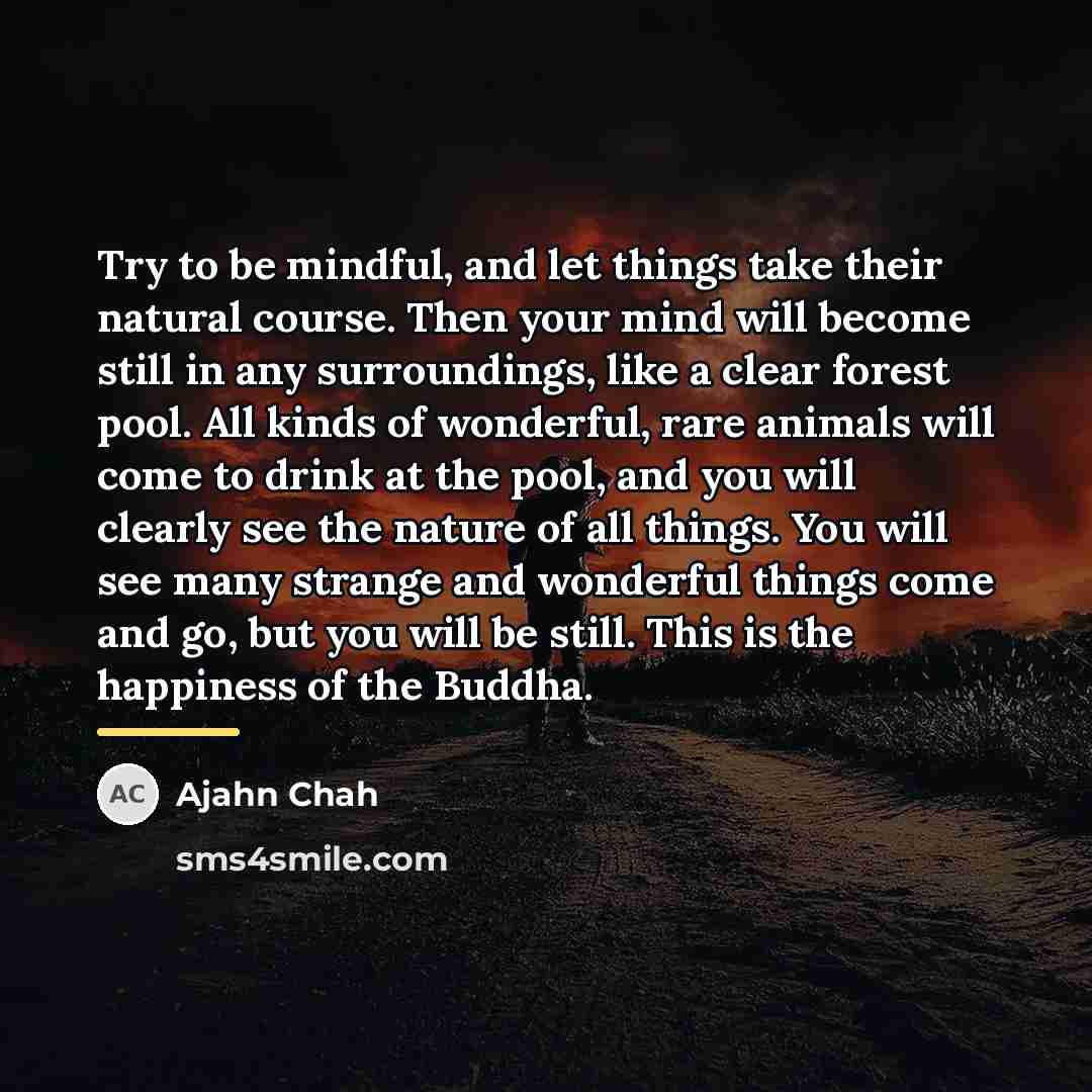 “Try to be mindful, and let things take their natural…” quote by Ajahn Chah