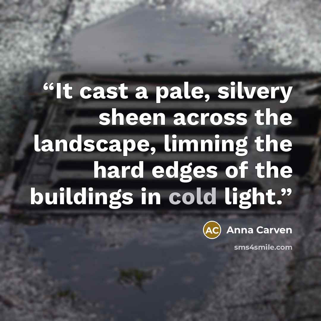 “It cast a pale, silvery sheen across the landscape, limning the hard edges of the buildings in cold light.” quote by Anna Carven