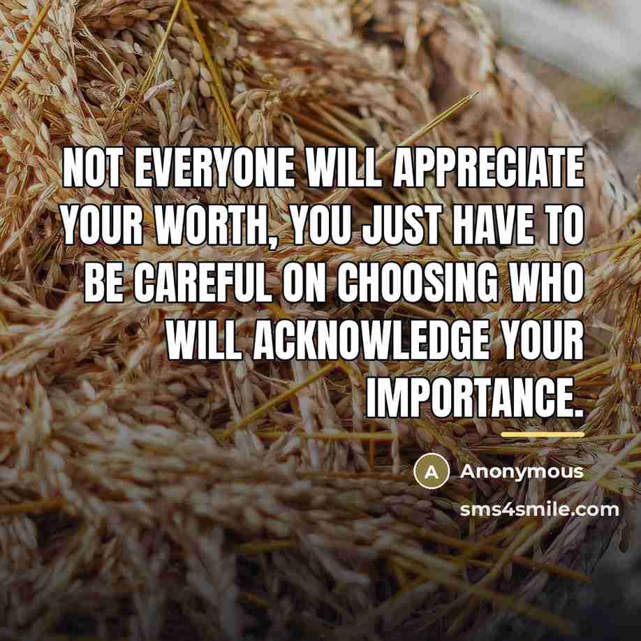 “Not everyone will appreciate your worth, you just have to…” quote by Anonymous