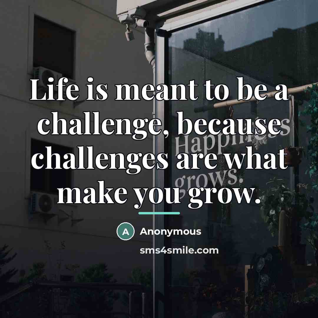 “Life is meant to be a challenge, because challenges are…” quote by Anonymous