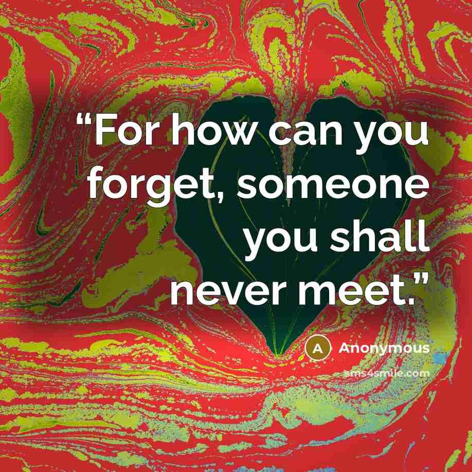 “For how can you forget, someone you shall never meet.” quote by Anonymous