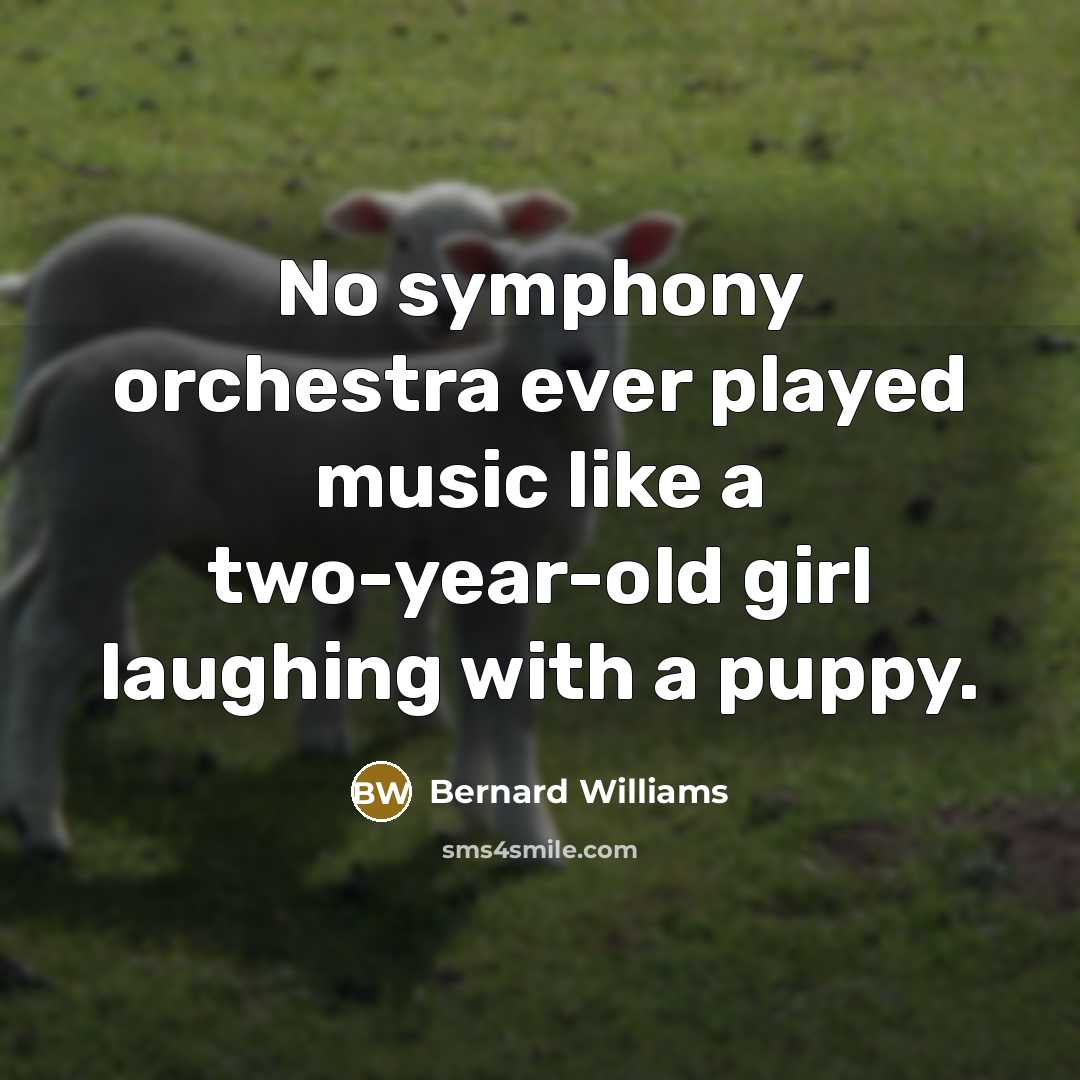 “No symphony orchestra ever played music like a two-year-old girl…” quote by Bernard Williams