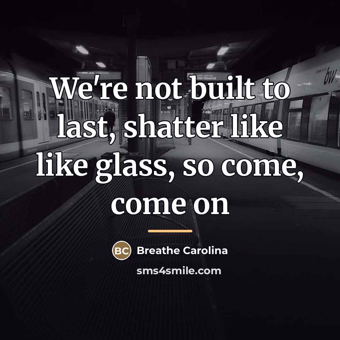 “We're not built to last, shatter like like glass, so…” quote by Breathe Carolina