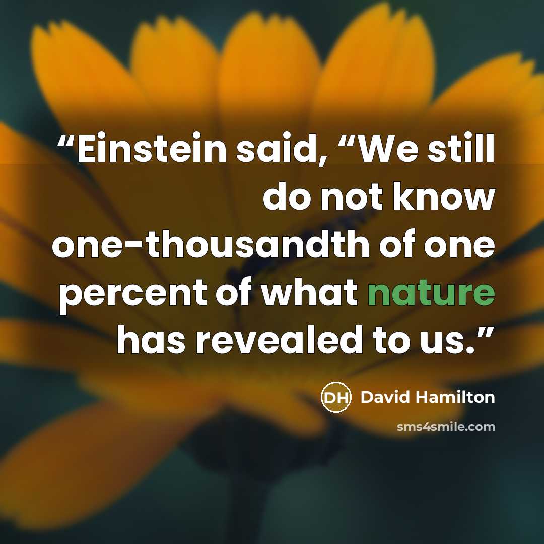 “Einstein said, “We still do not know one-thousandth of one percent of what nature has revealed to us.” quote by David Hamilton