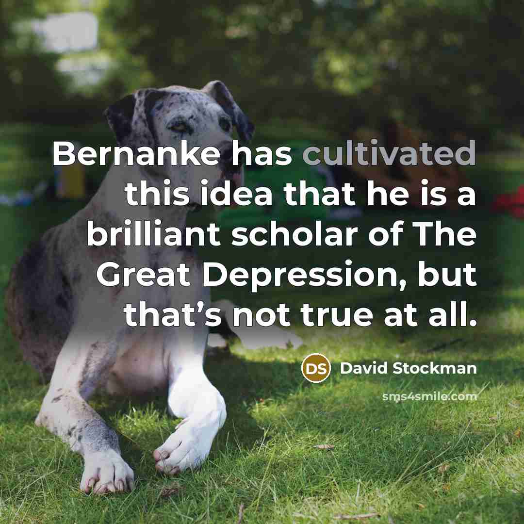 “Bernanke has cultivated this idea that he is a brilliant…” quote by David Stockman