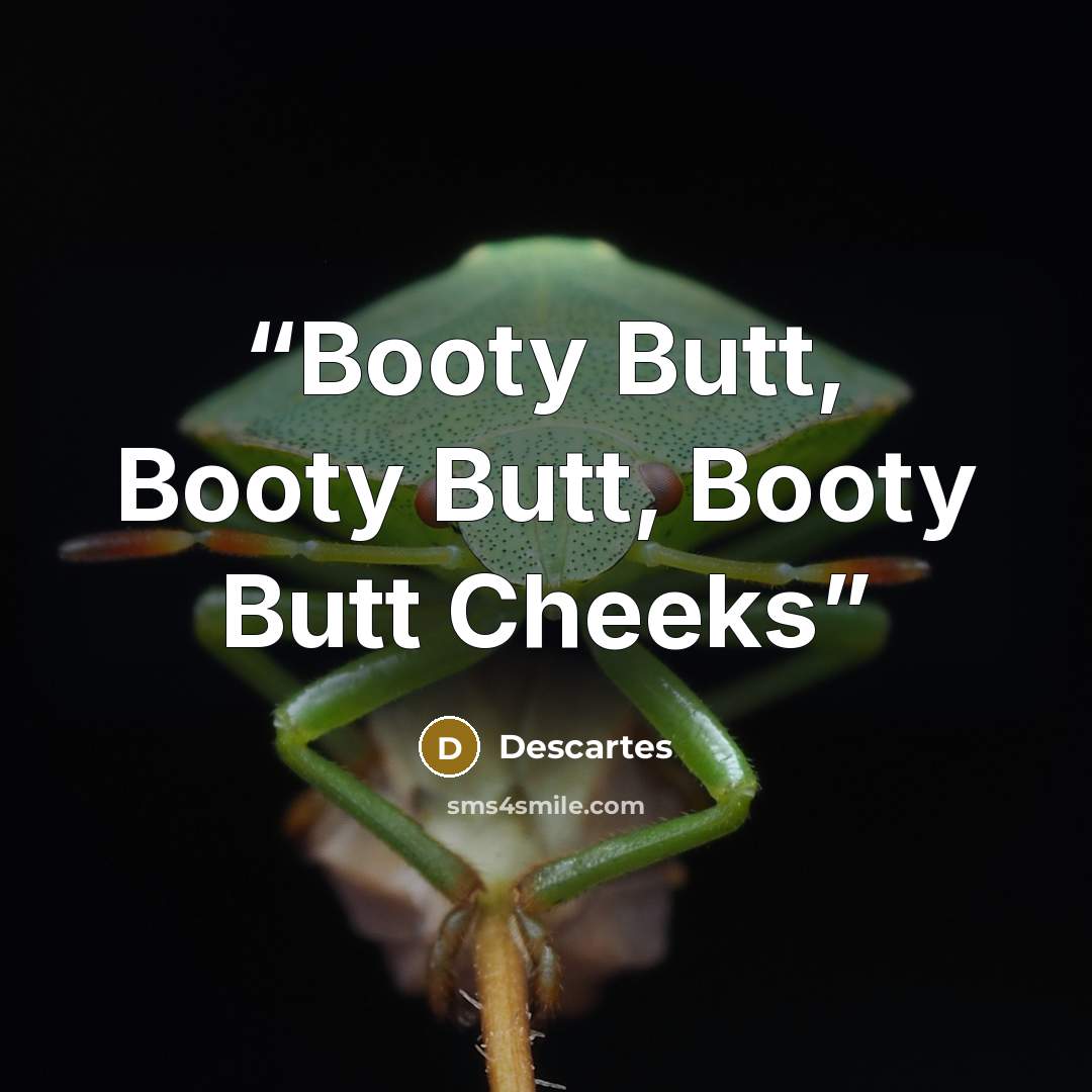 “Booty Butt, Booty Butt, Booty Butt Cheeks” quote by Descartes