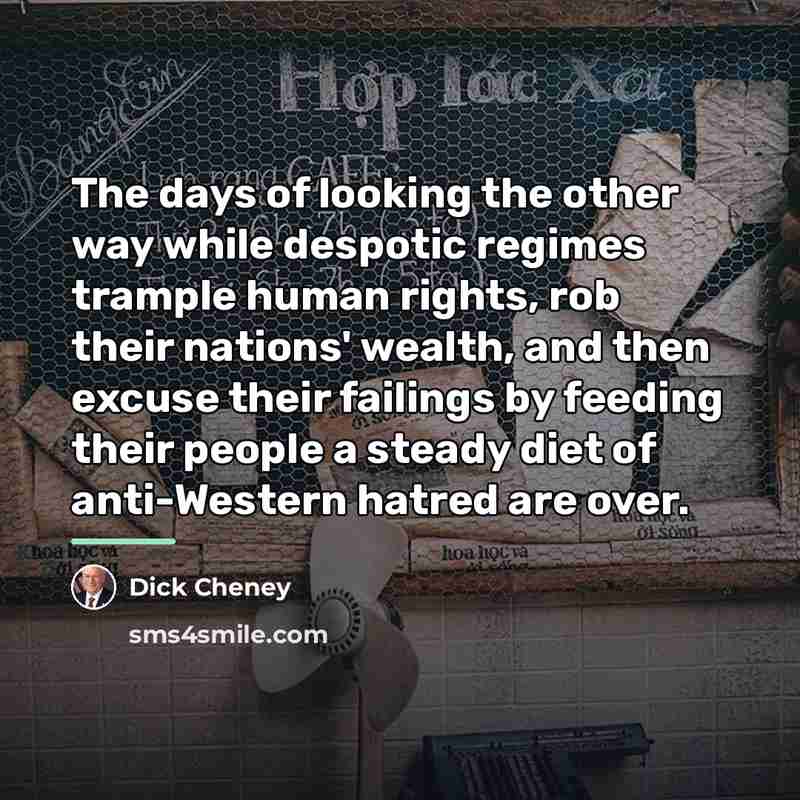 “The days of looking the other way while despotic regimes…” quote by Dick Cheney