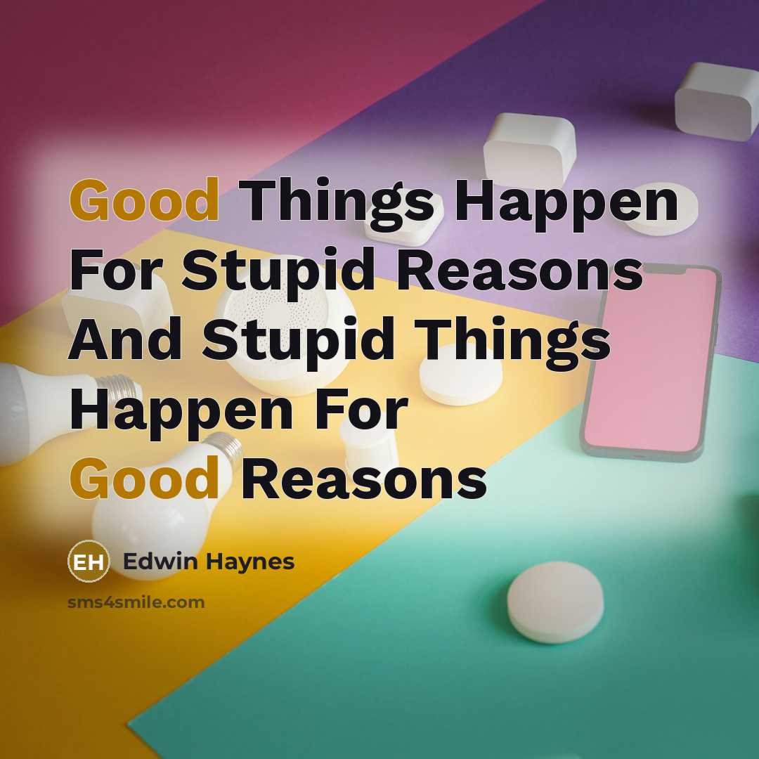 “Good Things Happen For Stupid Reasons And Stupid Things Happen…” quote by Edwin Haynes