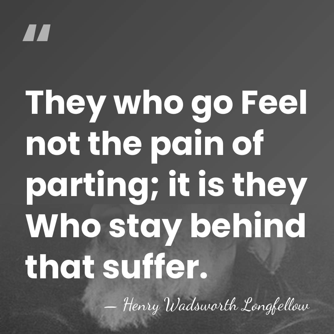 They who go Feel not the pain of parting; it is they&hellip; - Henry Wadsworth Longfellow