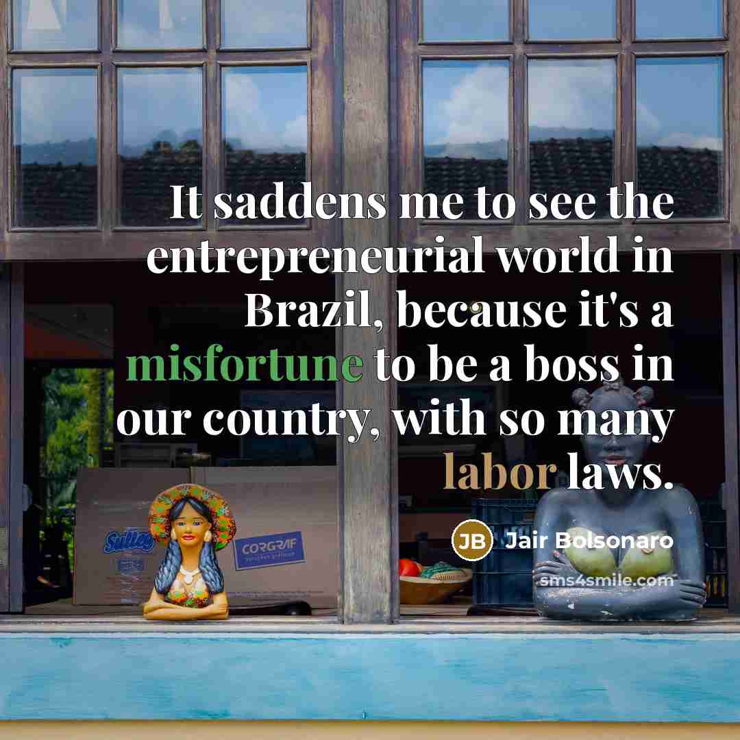 “It saddens me to see the entrepreneurial world in Brazil,…” quote by Jair Bolsonaro